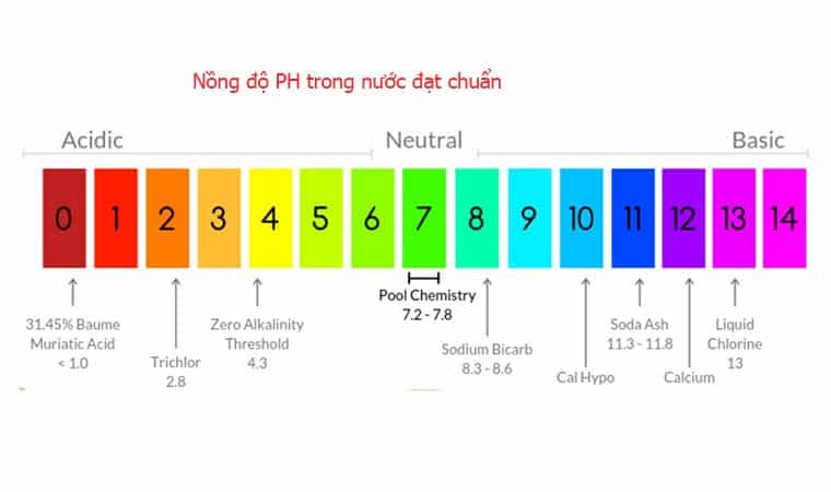 Nồng độ Ph trong nước bể bơi gia đình