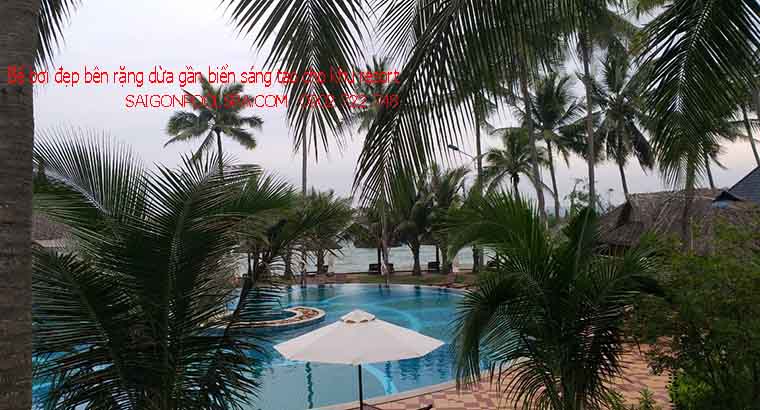Bể bơi đẹp bên rặng dừa gần biển sáng tạo cho khu Resort
