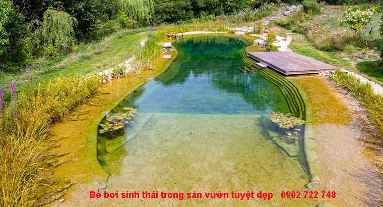 Bể bơi sinh thái trong vườn tuyệt đẹp