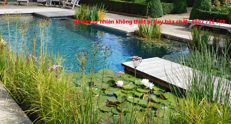 Hồ bơi tự nhiên không thiết bị hay hóa chất xử lý nước