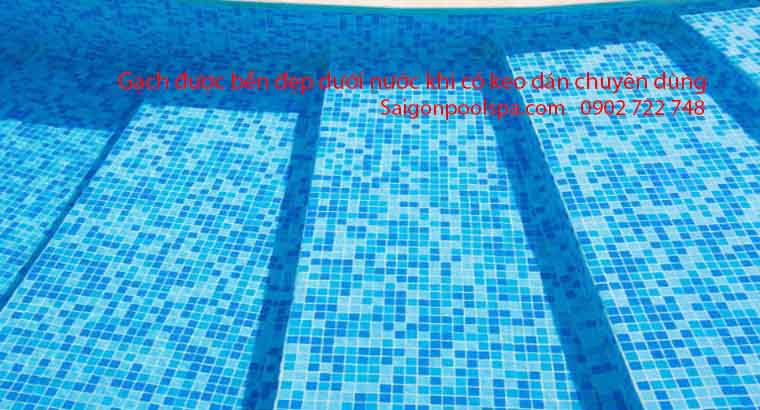 Gạch bể bơi sẽ bền đẹp khi được dán gạch chuyên nghiệp