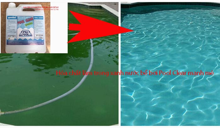 Hóa chất làm trong xanh nước bể bơi Pool Clear