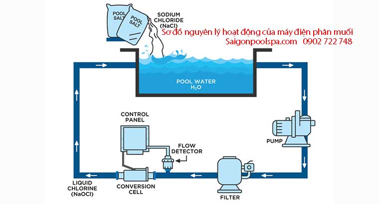 Sơ đồ nguyên lý hoạt động của thiết bị điện phân muối bể bơi