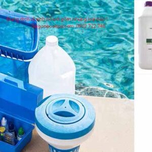 Dung dịch vệ sinh bể bơi gồm những loại nào ?