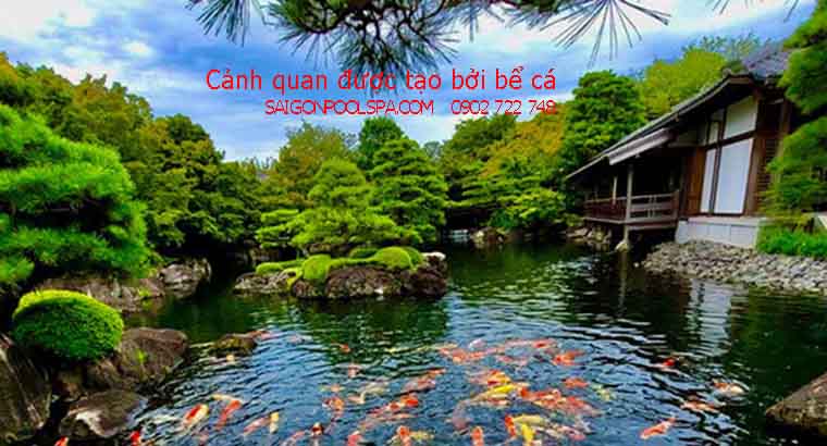 cảnh quan được tạo bởi bể cá 