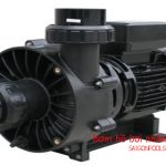 Bơm hồ bơi nhãn hiệu Waterco